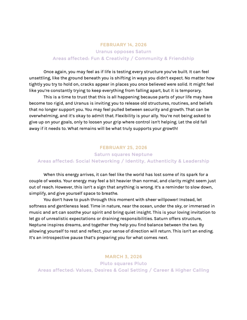 YF Premium Template SAMPLE.12